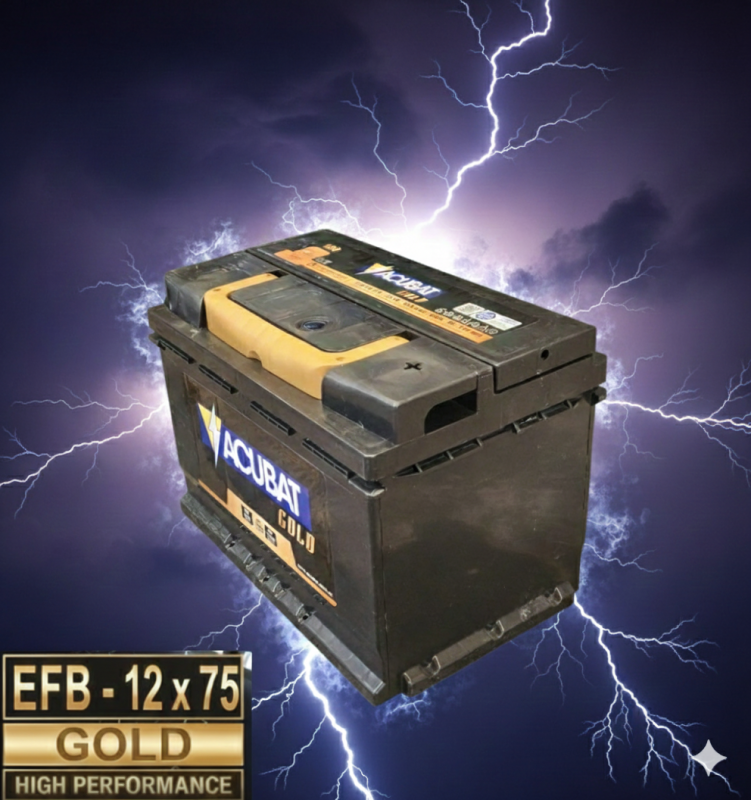 Acubat 600 Alta Efb (A600Efb)